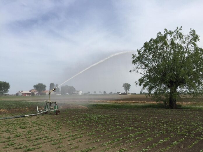 Irrigazione di soccorso