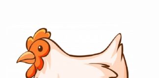 Nel Chiostro degli Olivetani va in scena “Cento… la gallina canta!”