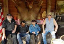 Eventi d’estate a Rosolina Mare: Pink Quote e Creedence Clearwater Revived