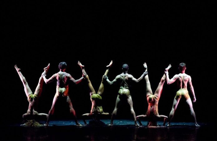 Photo-by-Fabio-Diena