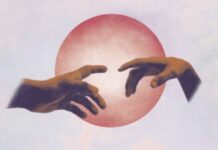 Il liceo Paleocapa capofila del progetto “Per chi crea” della Siae accanto al Lemming