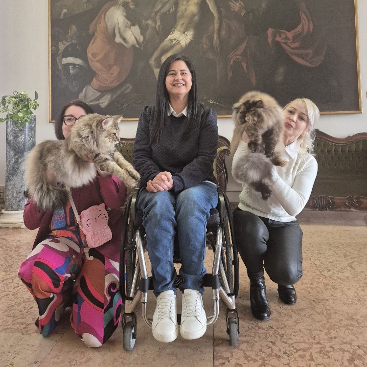 Mostra felina 2