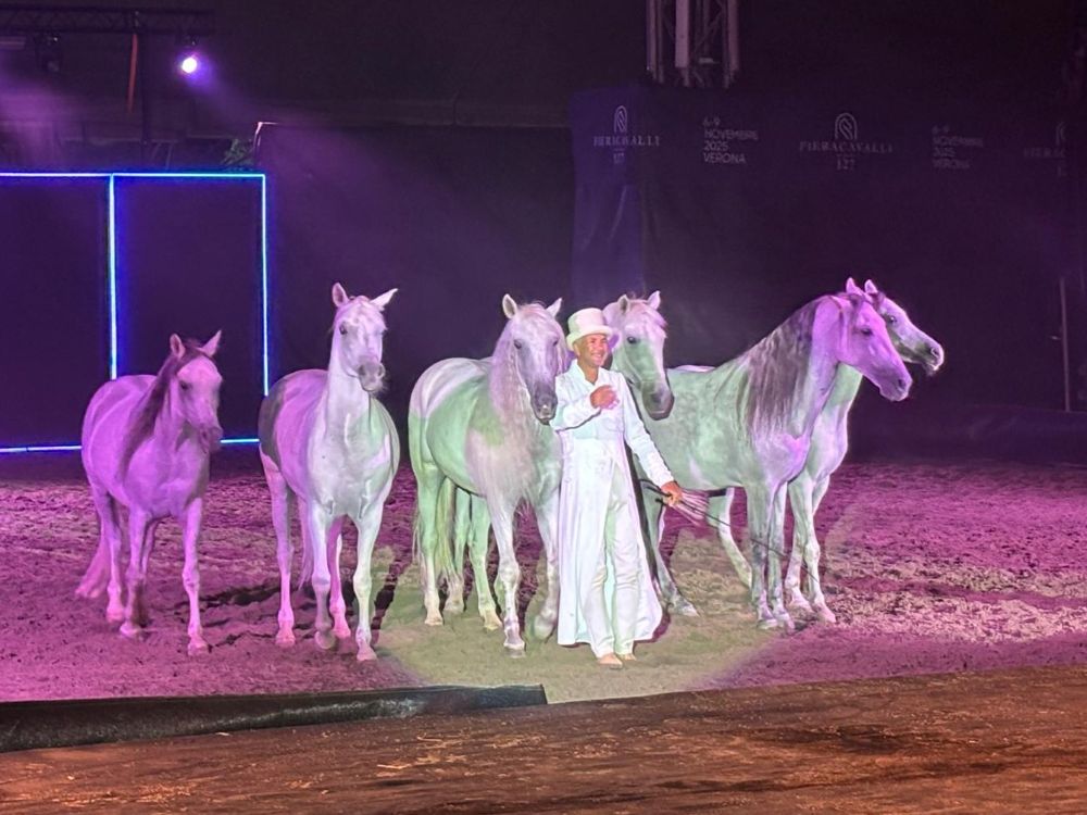 Musical Equestre in Broadway 17