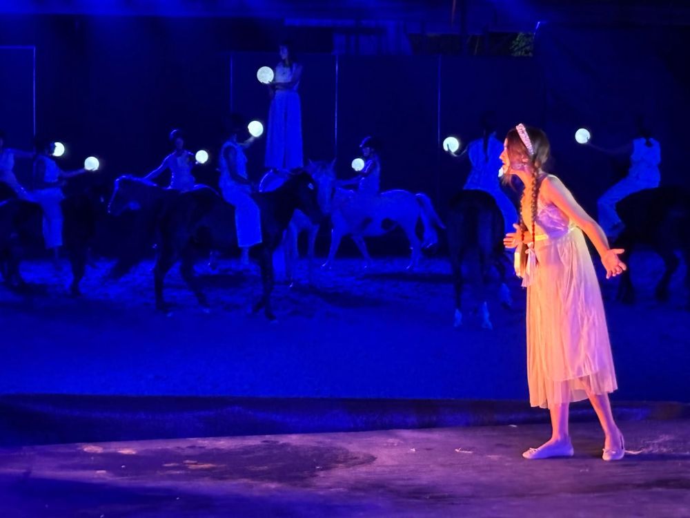 Musical Equestre in Broadway 7