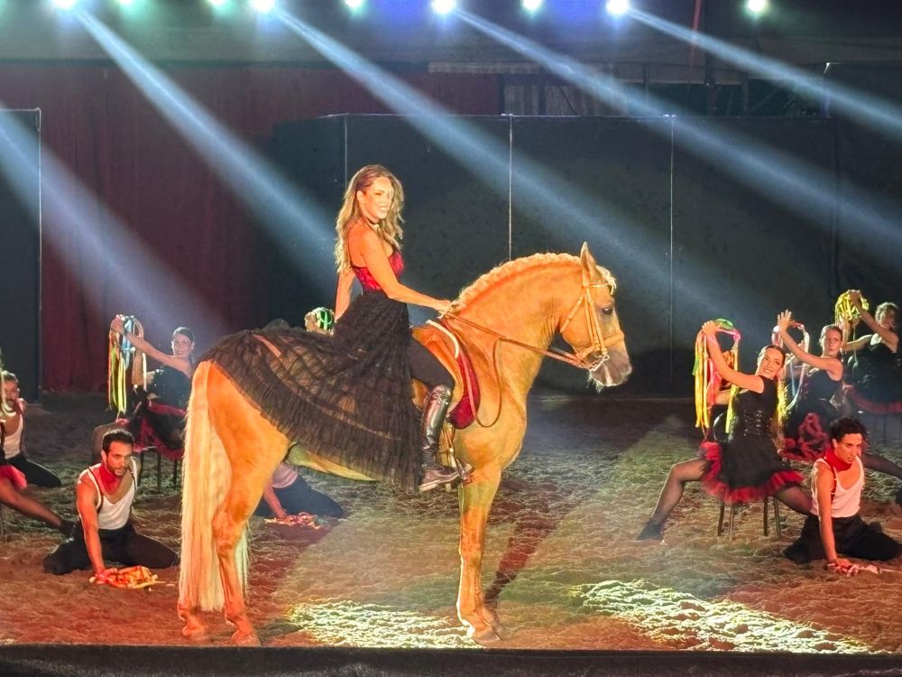 Musical Equestre in Broadway 8