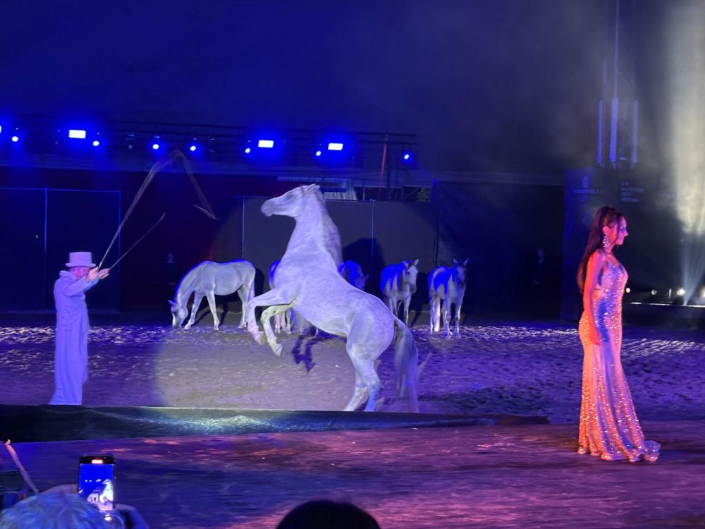 Musical Equestre in Broadway 9