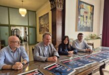 Baseball Night a Rovigo: una serata tra sport, passione e divertimento