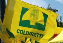 Mercosur, Coldiretti e Filiera Italia: «No alla firma senza reciprocità e trasparenza»