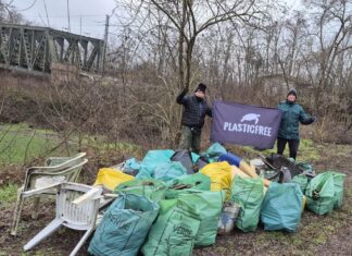 Arquà Polesine: rimossi 350 kg di rifiuti lungo il Canalbianco grazie ai volontari Plastic Free