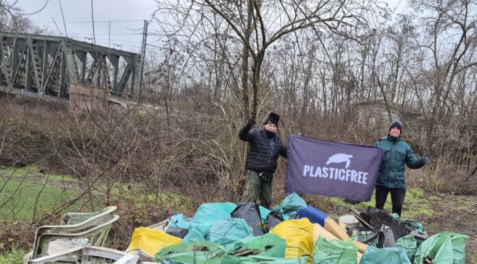 Arquà Polesine: rimossi 350 kg di rifiuti lungo il Canalbianco grazie ai volontari Plastic Free