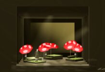 Alice nel Paese delle Meraviglie, al Teatro Sociale la prima italiana dell’opera di Valtinoni