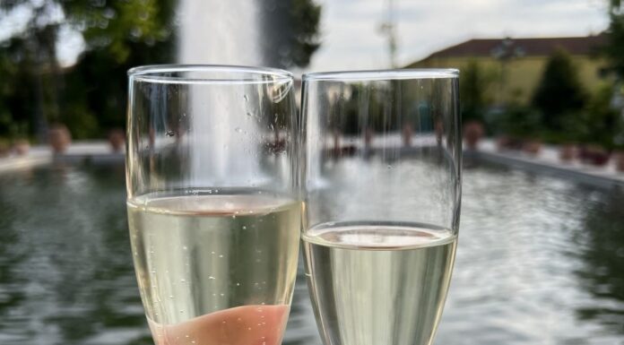 Vinitaly 2026, Coldiretti: un calice su cinque nel mondo è italiano