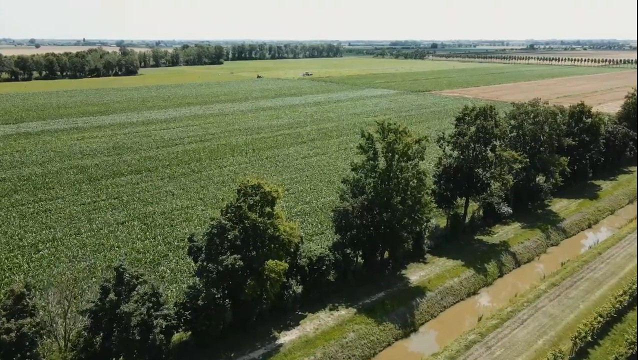 Agrario Munerati - foto campi
