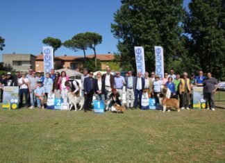 Albarella ospita la 23ª Esposizione Nazionale Cinofila di Rovigo