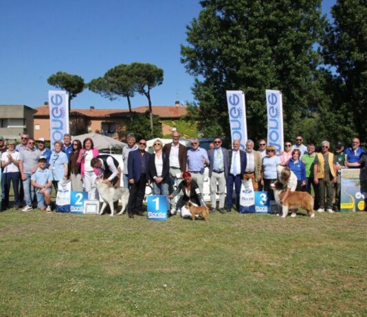 Albarella ospita la 23ª Esposizione Nazionale Cinofila di Rovigo