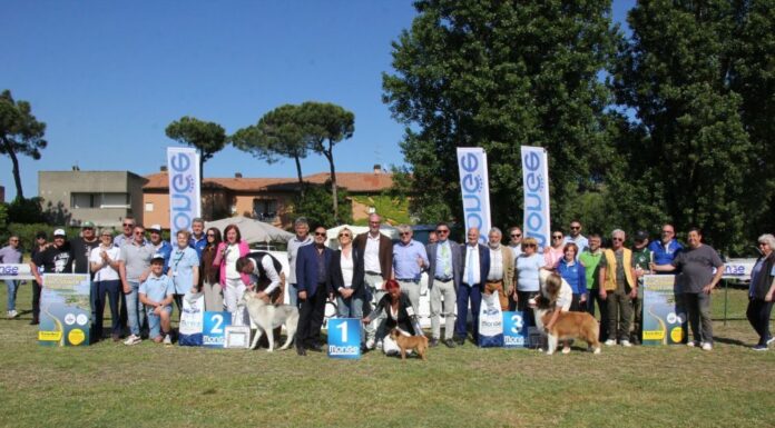 Albarella ospita la 23ª Esposizione Nazionale Cinofila di Rovigo