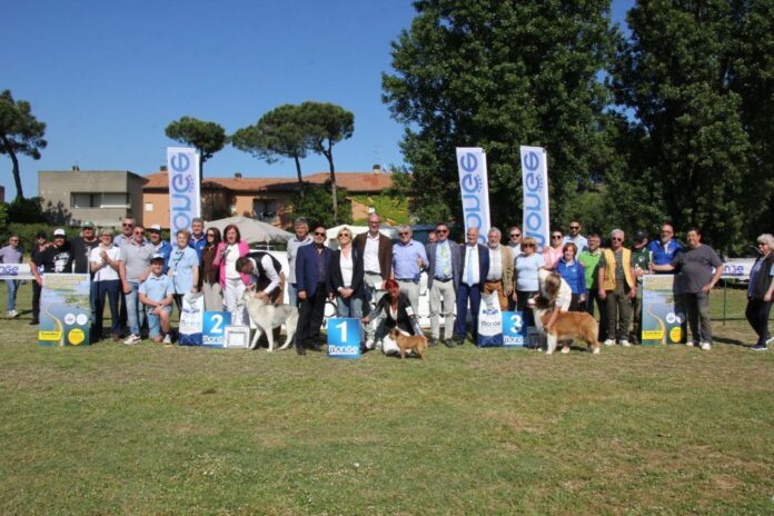 Esposizione Cinofila - Albarella
