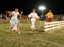 Arquà Polesine torna nel Medioevo: al Castello il XXXVIII Palio dei Ochi