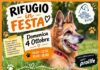 “Rifugio in Festa”, il canile di Rovigo apre le porte alla città