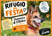 “Rifugio in Festa”, il canile di Rovigo apre le porte alla città