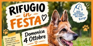 “Rifugio in Festa”, il canile di Rovigo apre le porte alla città